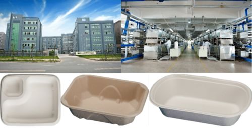 从植物纤维到环保餐桌 实业公司在packcon展区引领餐包新风尚